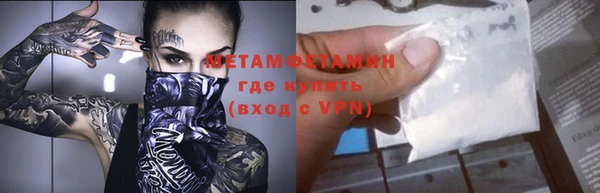 индика Гусь-Хрустальный