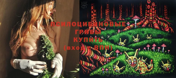 мдма Дмитриев