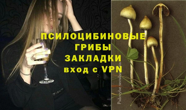 первитин Дмитровск