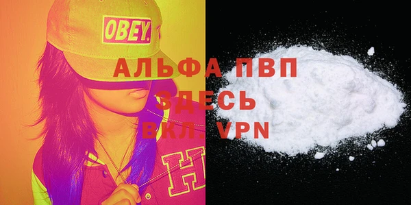 spice Гусев