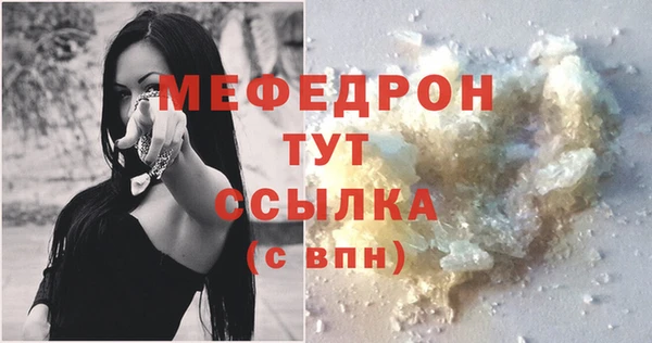 индика Гусь-Хрустальный
