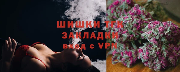 spice Гусев